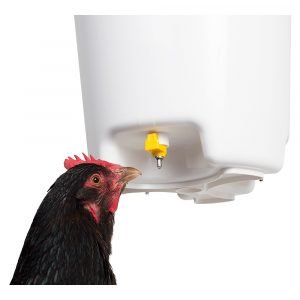 Abbeveratoio 3 Nipple Borotto Per Incubatrice