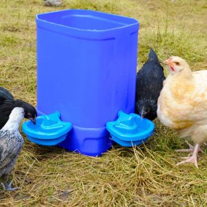 Abbeveratoio Borotto Vaschetta Per Incubatrice