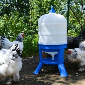 Abbeveratoio incubatrici borotto