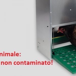 Mangiatoia 5 Kg Pedale Borotto