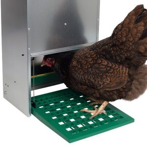 Mangiatoia Automatica Borotto Pedale 12 Kg