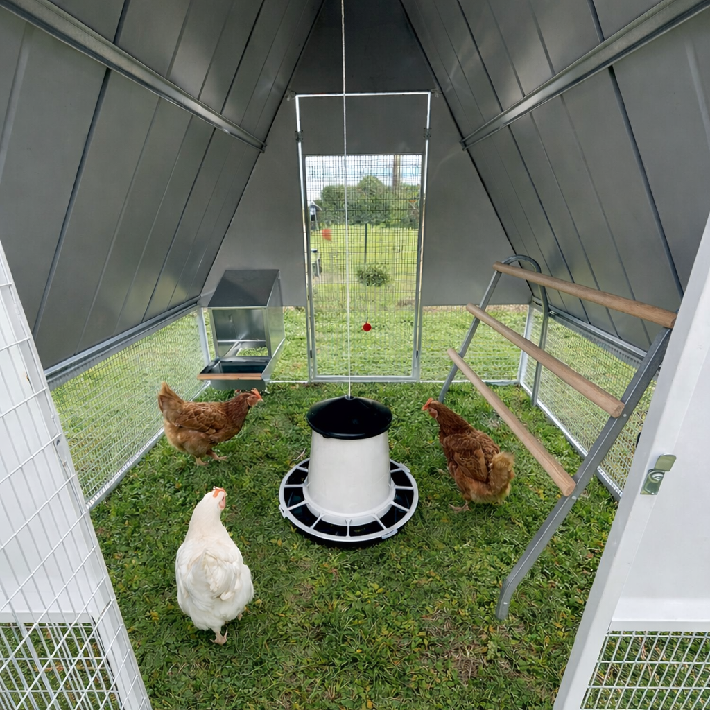 Gallinero Exterior para Gallinas Ponedoras de Acero Galvanizado – BOROTTO FORTIS - Imagen 4