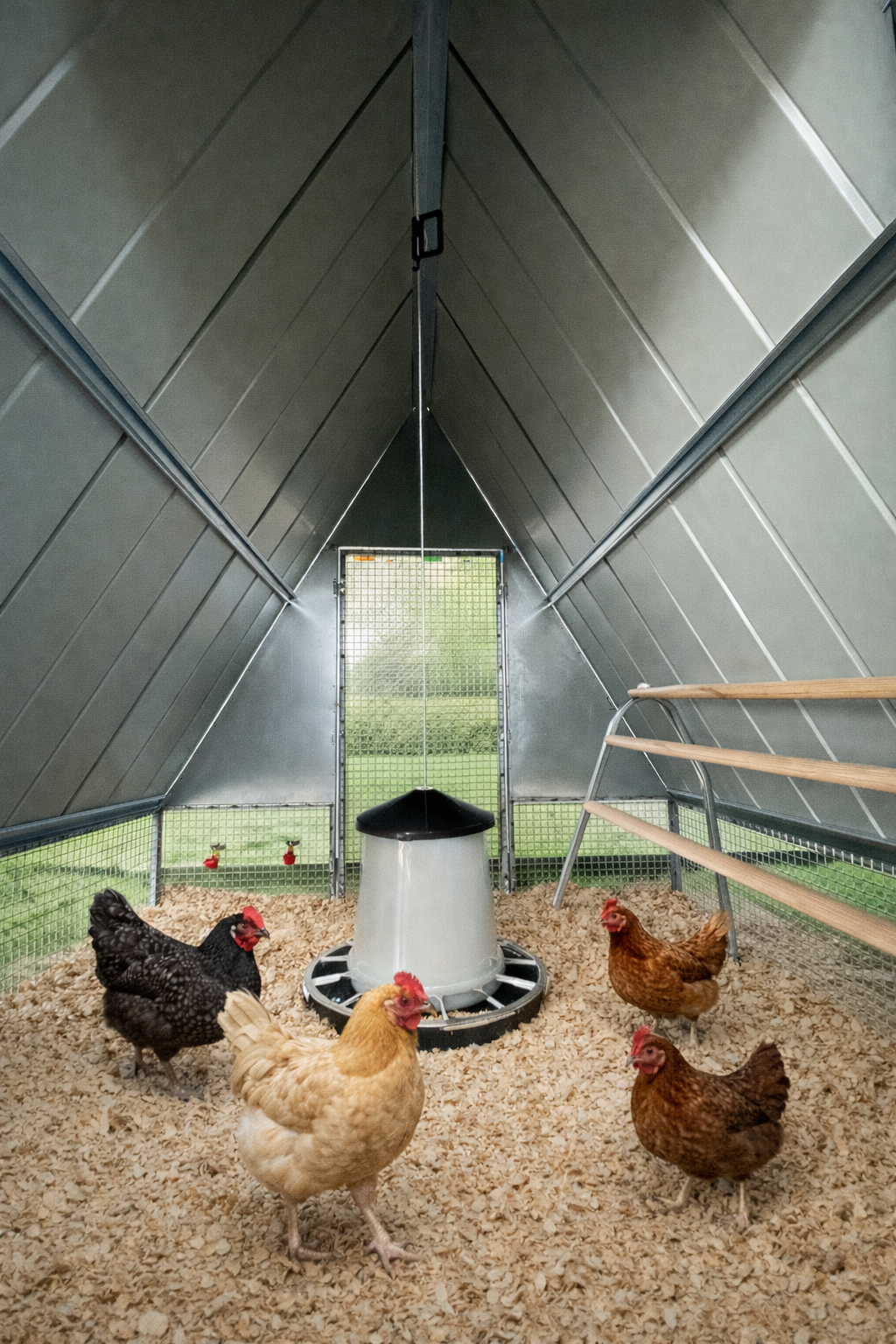 Gallinero Exterior para Gallinas Ponedoras de Acero Galvanizado – BOROTTO FORTIS - Imagen 7